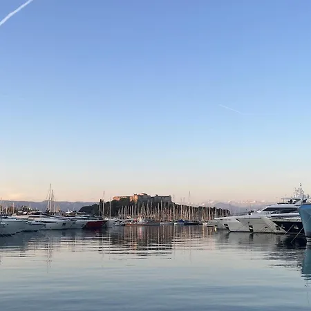 2 Pieces Rue Des Palmiers - Vieille D'antibes Apartment Antibes